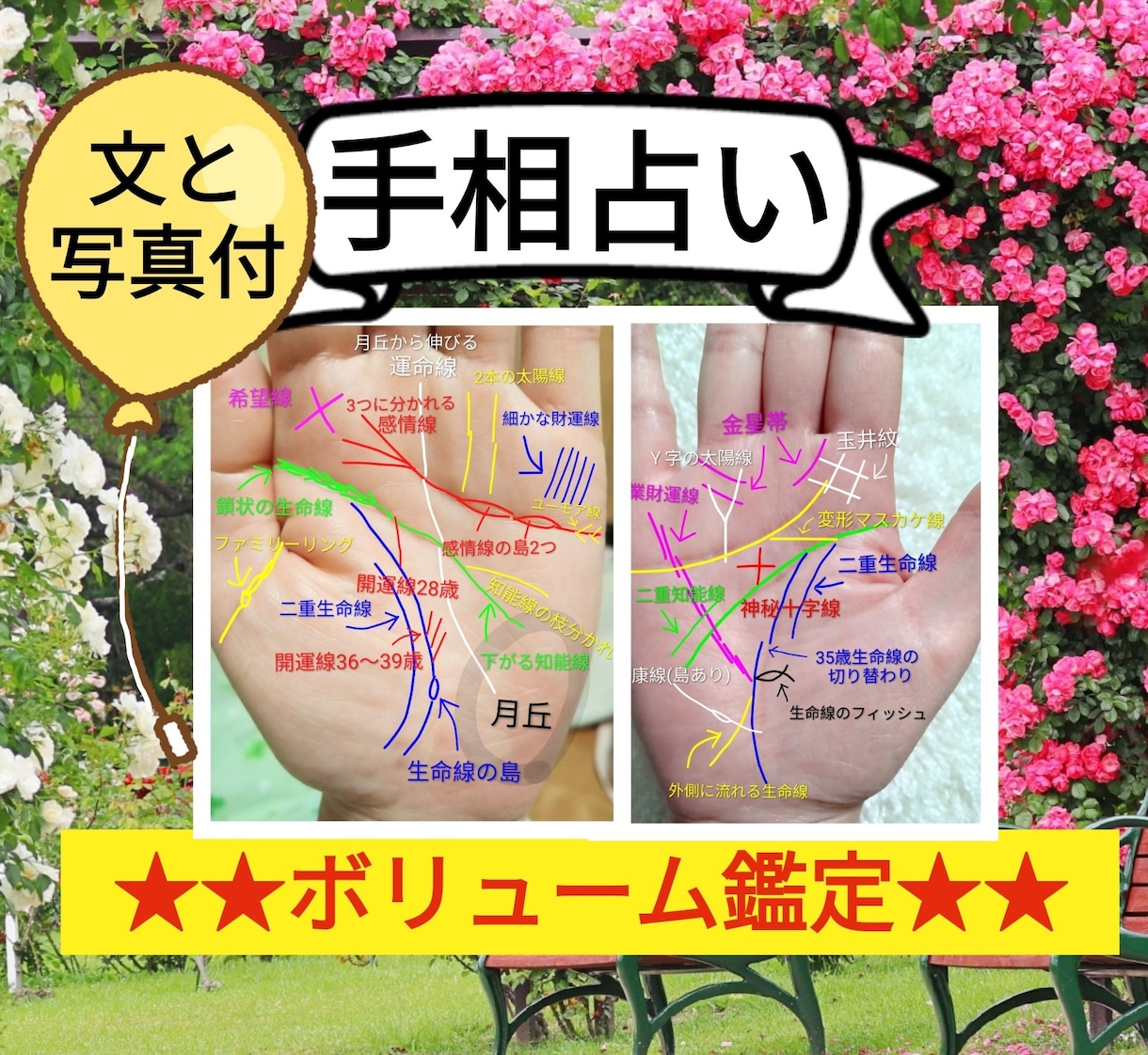 4000字～本格手相占い/写真解説も付きます お客様の状況を把握し