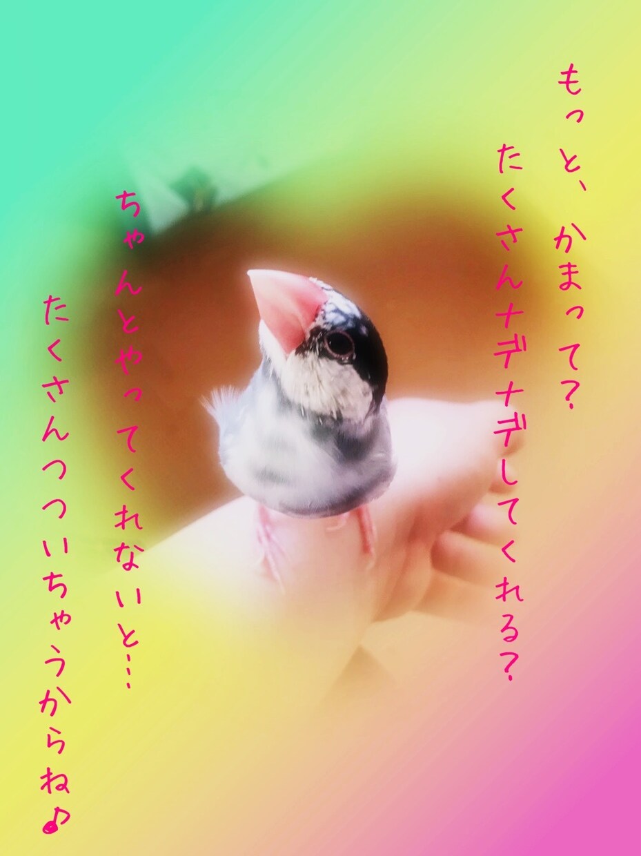 相談に厳しく、または優しくお応えします 人間関係（人生、恋愛、会社、学校など）の相談受付サービス。 イメージ2