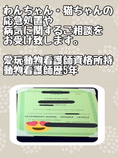 わんちゃん・猫ちゃんの全てのご相談承ります 夜間救急1.5次診療にて5年間従事した元動物看護師が答えます イメージ1
