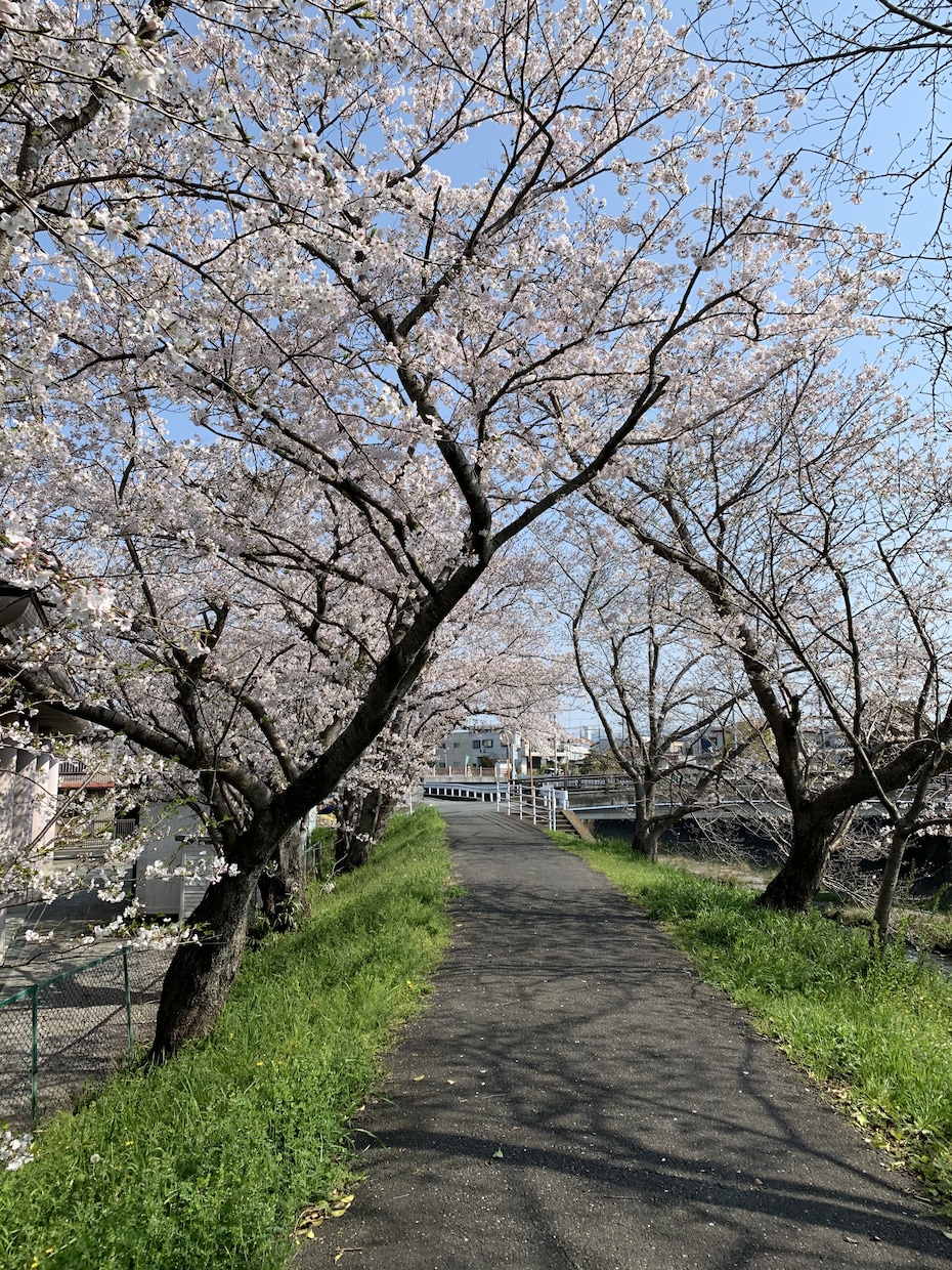 リアル手紙屋！お悩みに合わせて温かい手紙を書きます 様々な悩みに合わせ、心の籠もった手紙を書きます。お子様にも！ イメージ1