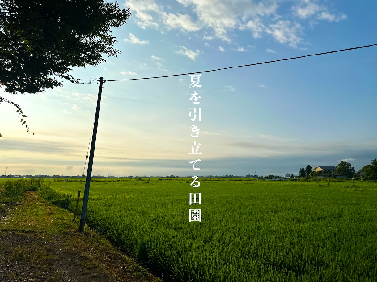 SNS投稿に最適な余白設計風景画像を提供します [SNSに最適]投稿がそのまま映える“余白設計済み風景素材 イメージ1