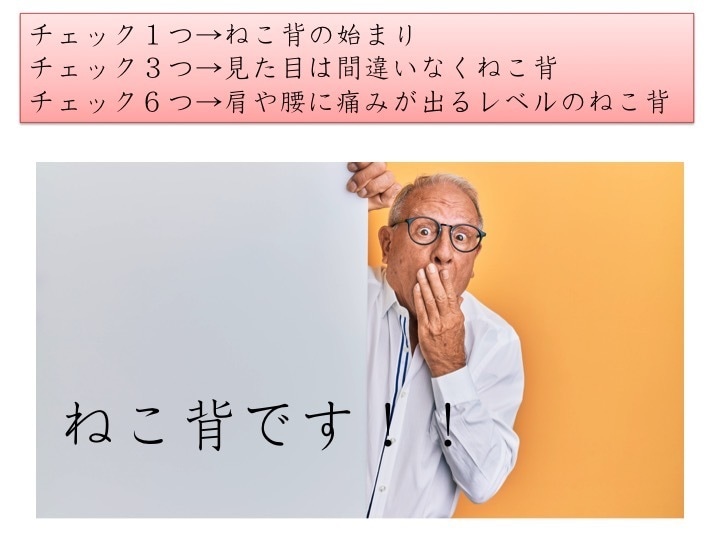 ねこ背気になりませんか？姿勢を良くする秘訣教えます ねこ背を理解しエクササイズで綺麗な姿勢に！vol.1 イメージ4