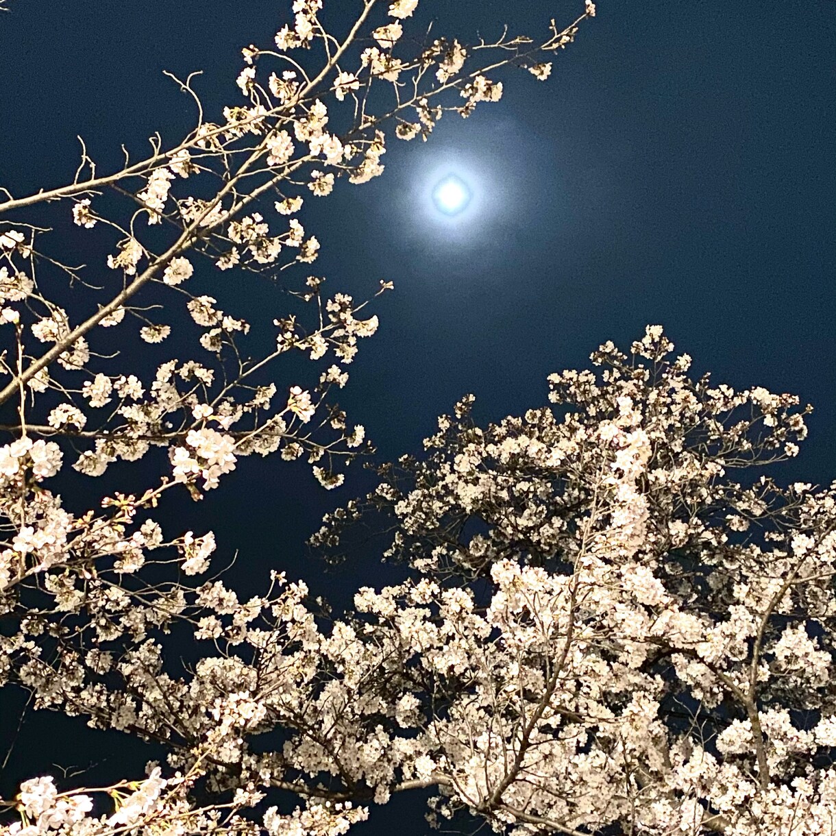 新生活に馴染めない方相談承ります さまざまなお悩みお聞きします！！ イメージ3