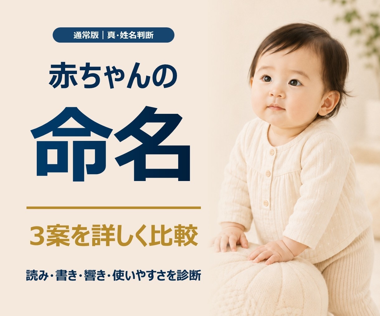 通常版｜赤ちゃんの名前を真・姓名判断します 真・姓名判断の基本となる命名プラン イメージ1
