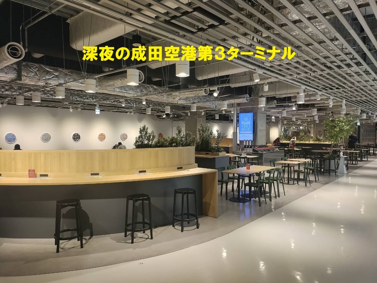 成田・羽田空港で夜を明かす！賢い空港泊コツ教えます ホテル代高騰、成田空港・羽田空港の深夜の寒暖等を教えます！ イメージ3