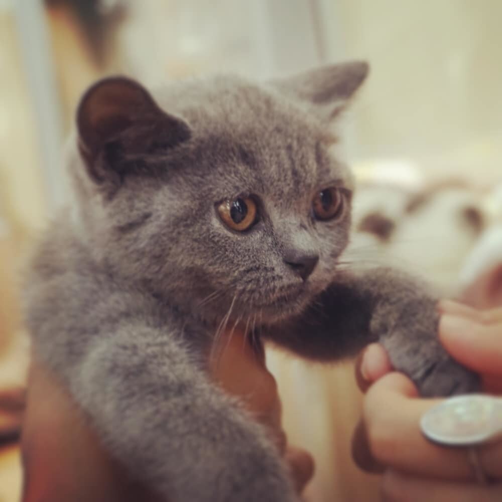 あなたが知らないあなたを発掘します やりたいことを見つけたいあなたの力になります！ イメージ1