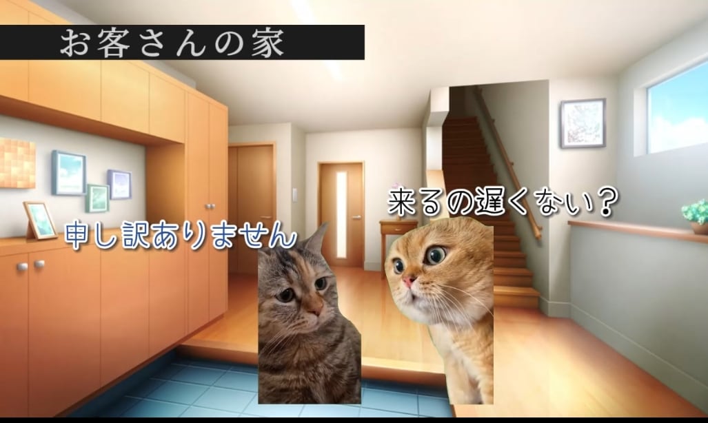 トプ画が猫の方割引きします！。 - 猫用品