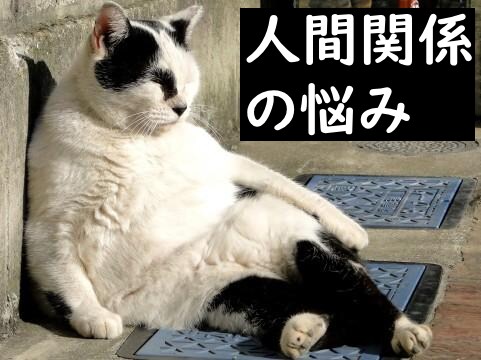 悩み・愚痴・相談　何でも相談に乗ります どんなお話でも伺います。5分だけでもお気軽にどうぞ イメージ4