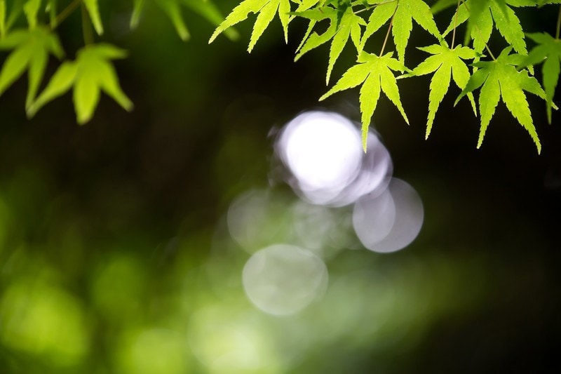 １分でもお気軽に♪癒やし系女将がお話しお聴きします 愚痴聞き、恋愛相談、雑談☆今すぐ話したい気持ちに寄り添います イメージ5