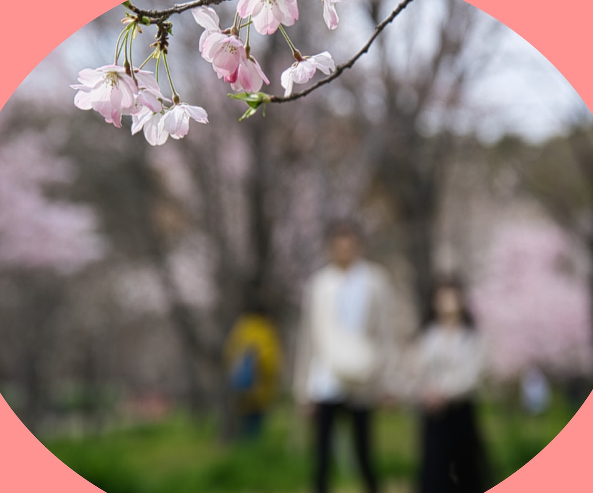単発２日チャット/あなたの叶えたいを応援します 人生/恋愛/仕事/夢/引き寄せ難民/目標達成/その他何でも イメージ3