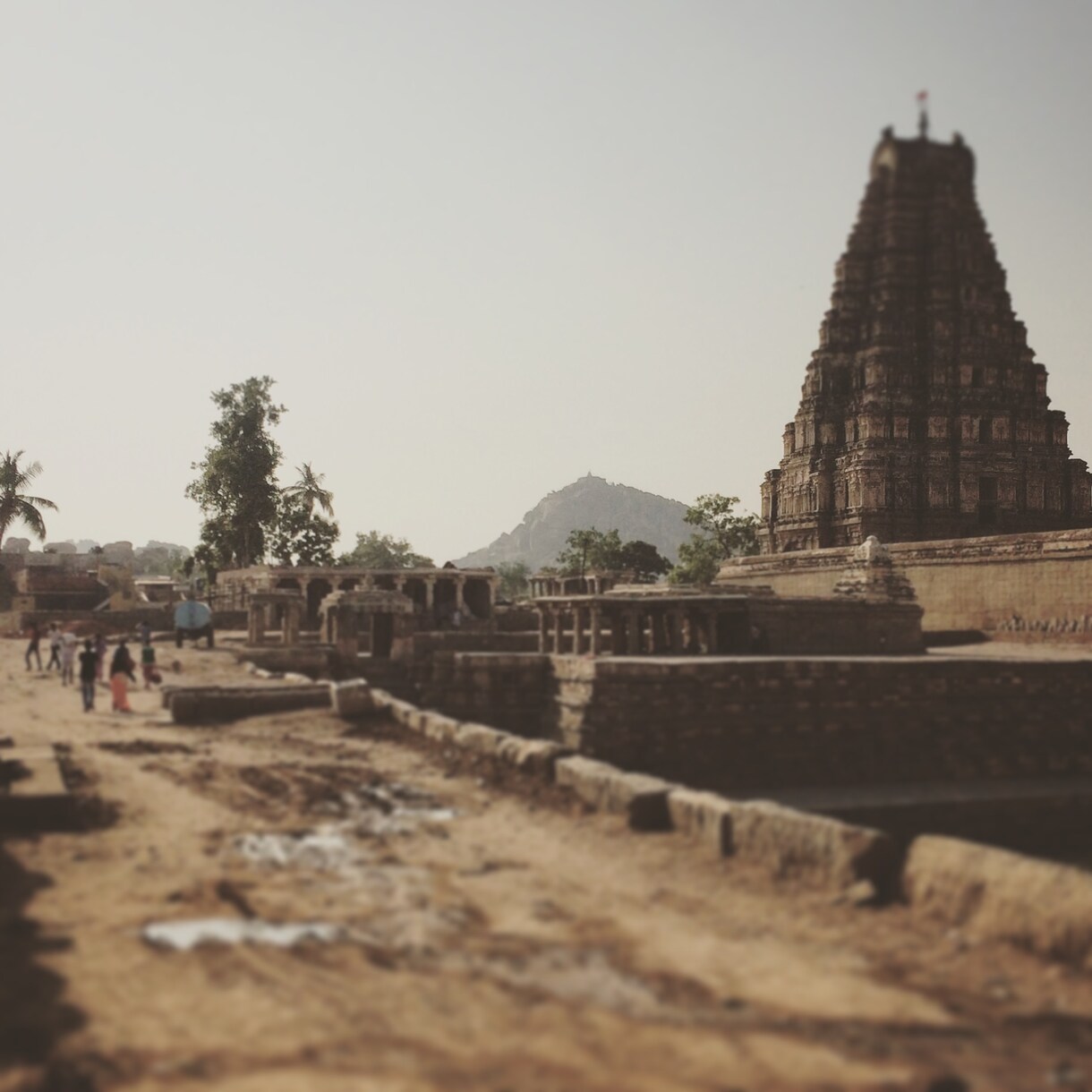 インド旅行・インド生活のアドバイスします インド就労経験・旅行業界経験者がインドの不安を解消します！ イメージ2