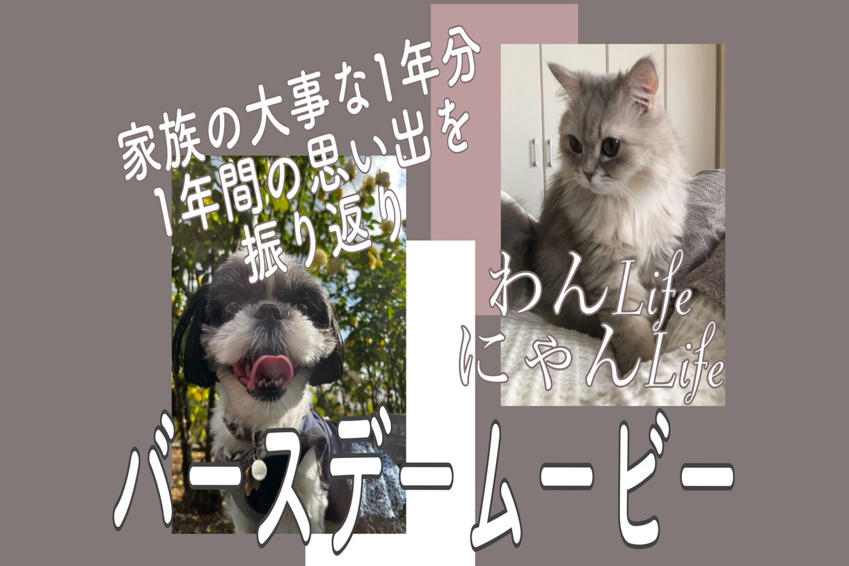 大切な家族の1年をおまとめします 大切な家族との思い出振り返りmovie イメージ1