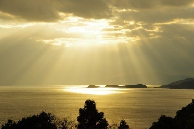 浄化をおこないます 人や空間のネガティブなエネルギーや念を浄化します。 イメージ1