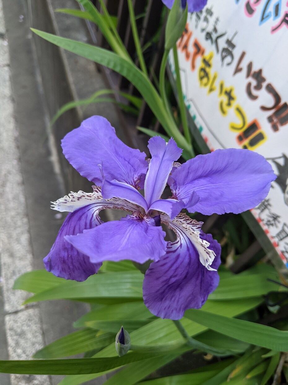 嬉しい事を一緒にお祝いします コロナ禍で遠慮している子にそっとお祝いの言葉をプレゼント イメージ7