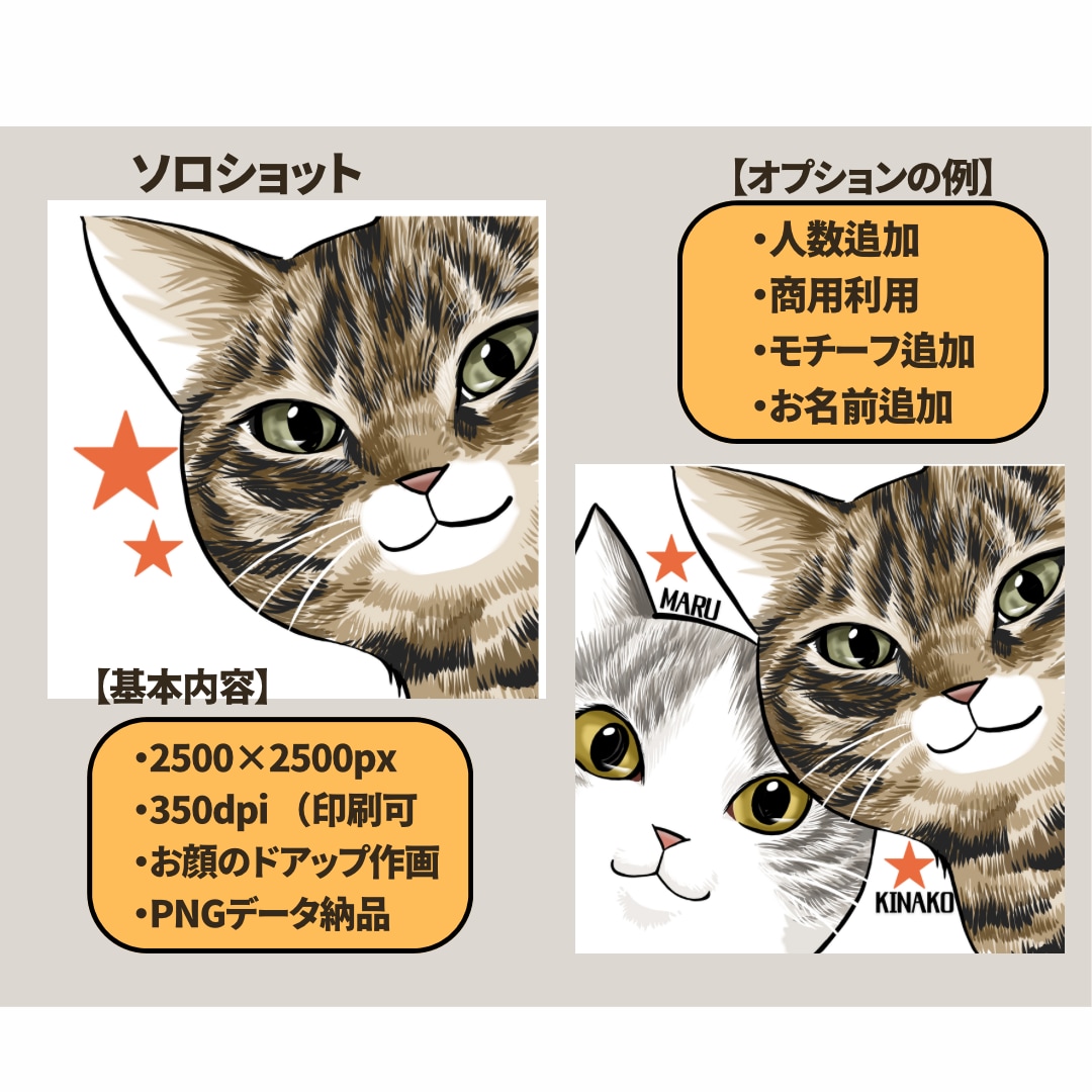 高クオリティ！可愛いドアップ猫アイコン描きます 個人で楽しむうちの子グッズ化OK／イラスト／動物／ペット イメージ3