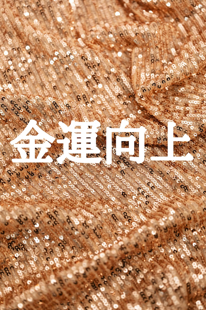 陰陽師が、金運向上の術をして金運アップ致します ★金運アップヒーリングと金運アップエネルギーも流します★ イメージ1