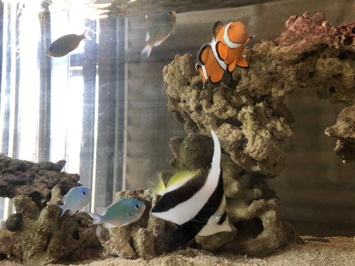 育児にお悩み中のママ、パパさん愚痴悩みなど聞きます 自分に余裕がないと、子供にも伝わりますよね‥私もそうでした イメージ1
