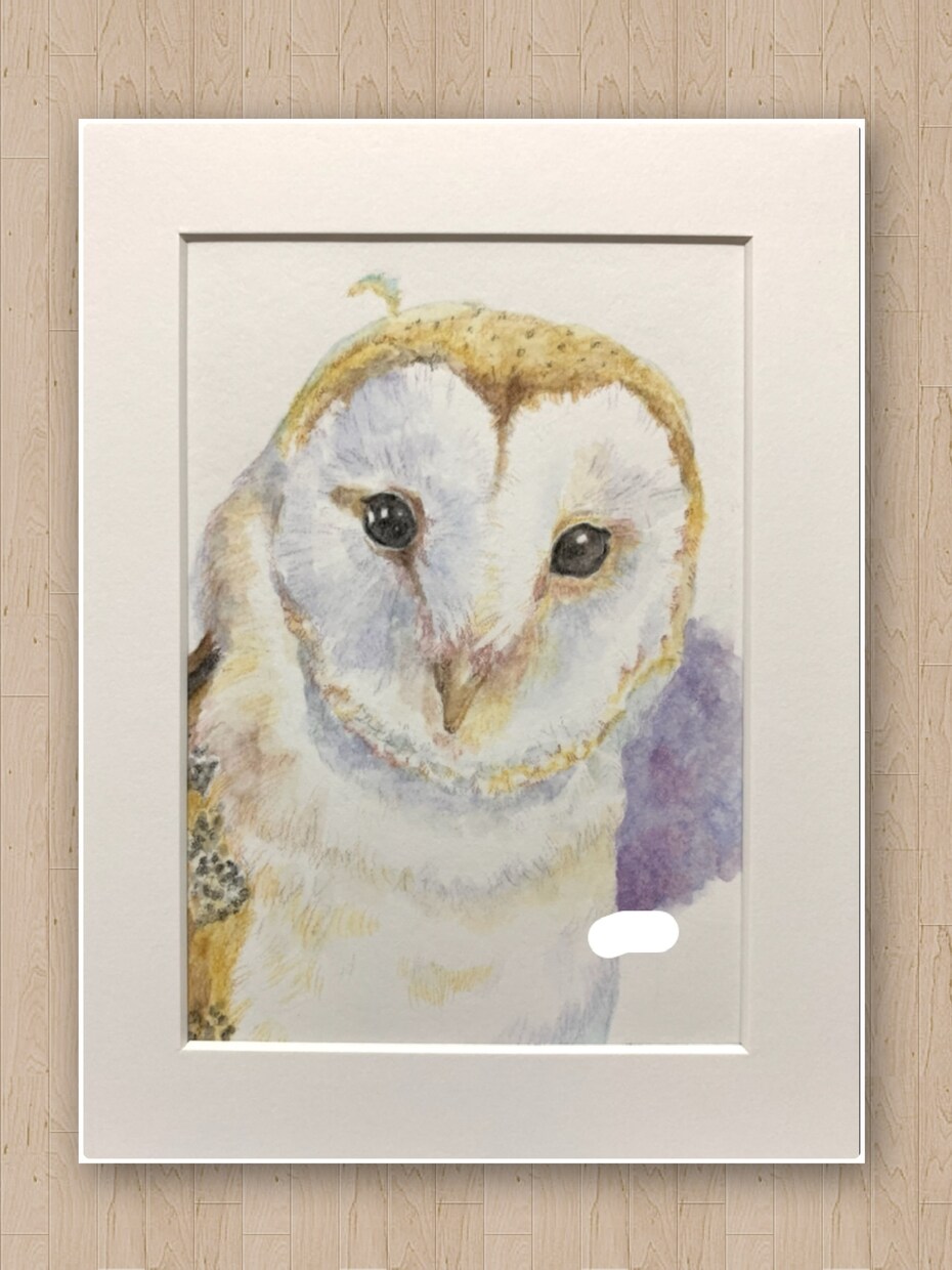 ふんわりかわいいペットの似顔絵描きます ★やわらかな色合いの水彩色鉛筆画 イメージ3