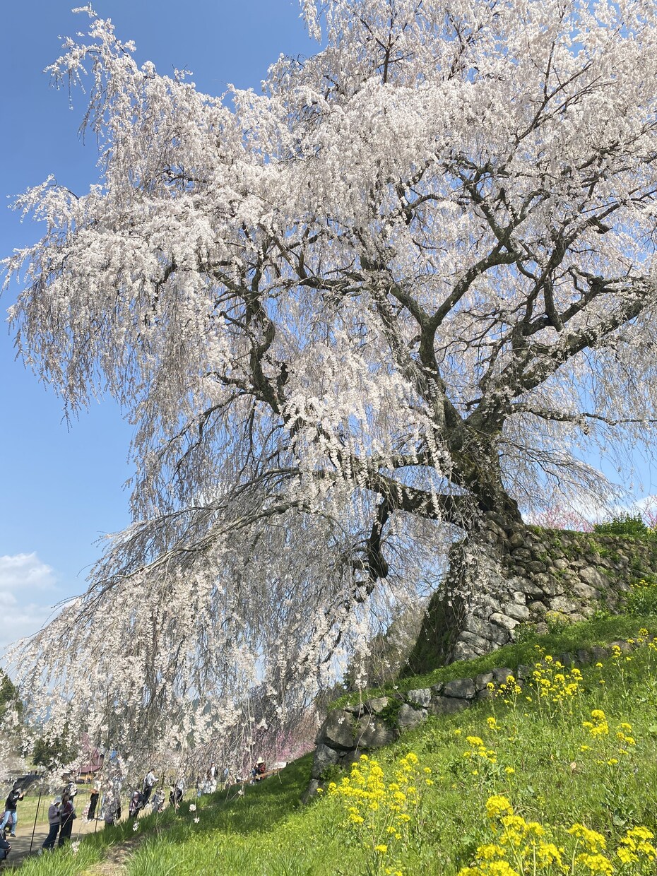 即日作成！国内の旅プラン・旅しおり作成します 行き先・日程・予算に合わせて、プロの旅人が最適プランを提案！ イメージ5