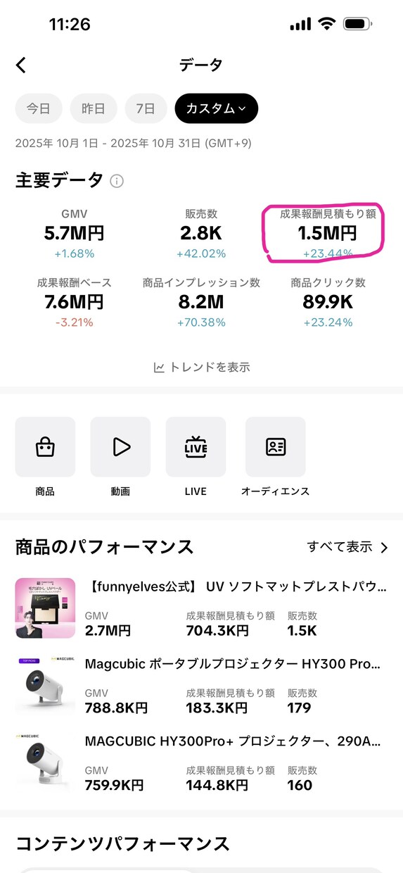 本物のTiktok戦略教えます お試し相談 30分本気で向き合う イメージ2