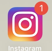 初心者の方のInstagramのサポートをします フォロワー114000人の女性によるサポートです。 イメージ1
