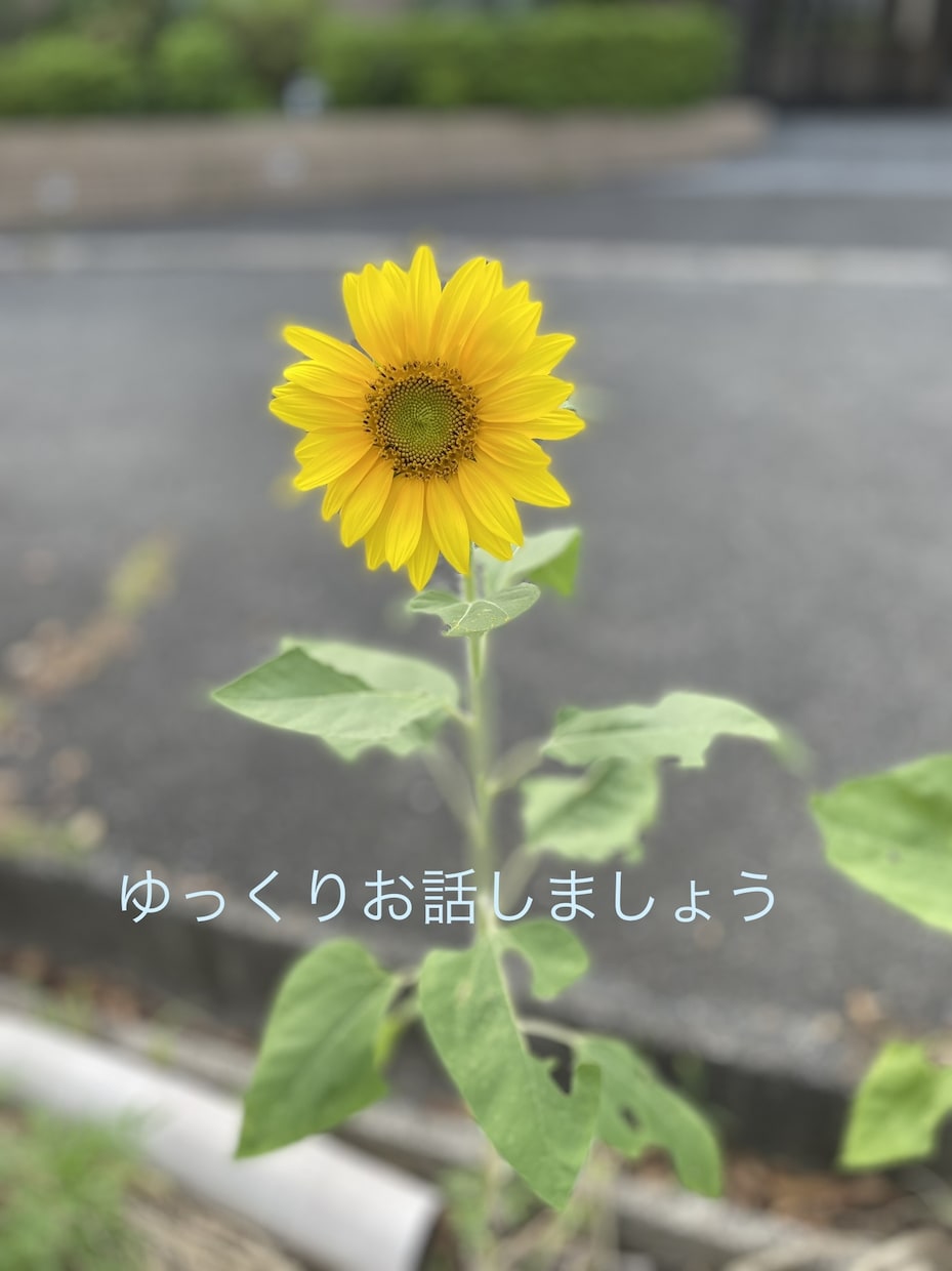 愚痴やお悩み相談受付ます 30歳の男がなんでもお話聞きますよ！ イメージ1