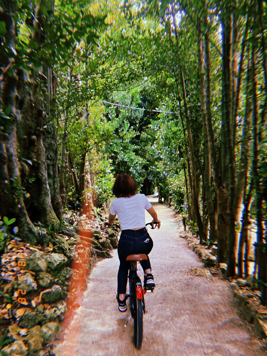 初めての沖縄旅行！！旅行プランを提案します 最高の沖縄旅行のプランをご案内！！(本島限定) イメージ2