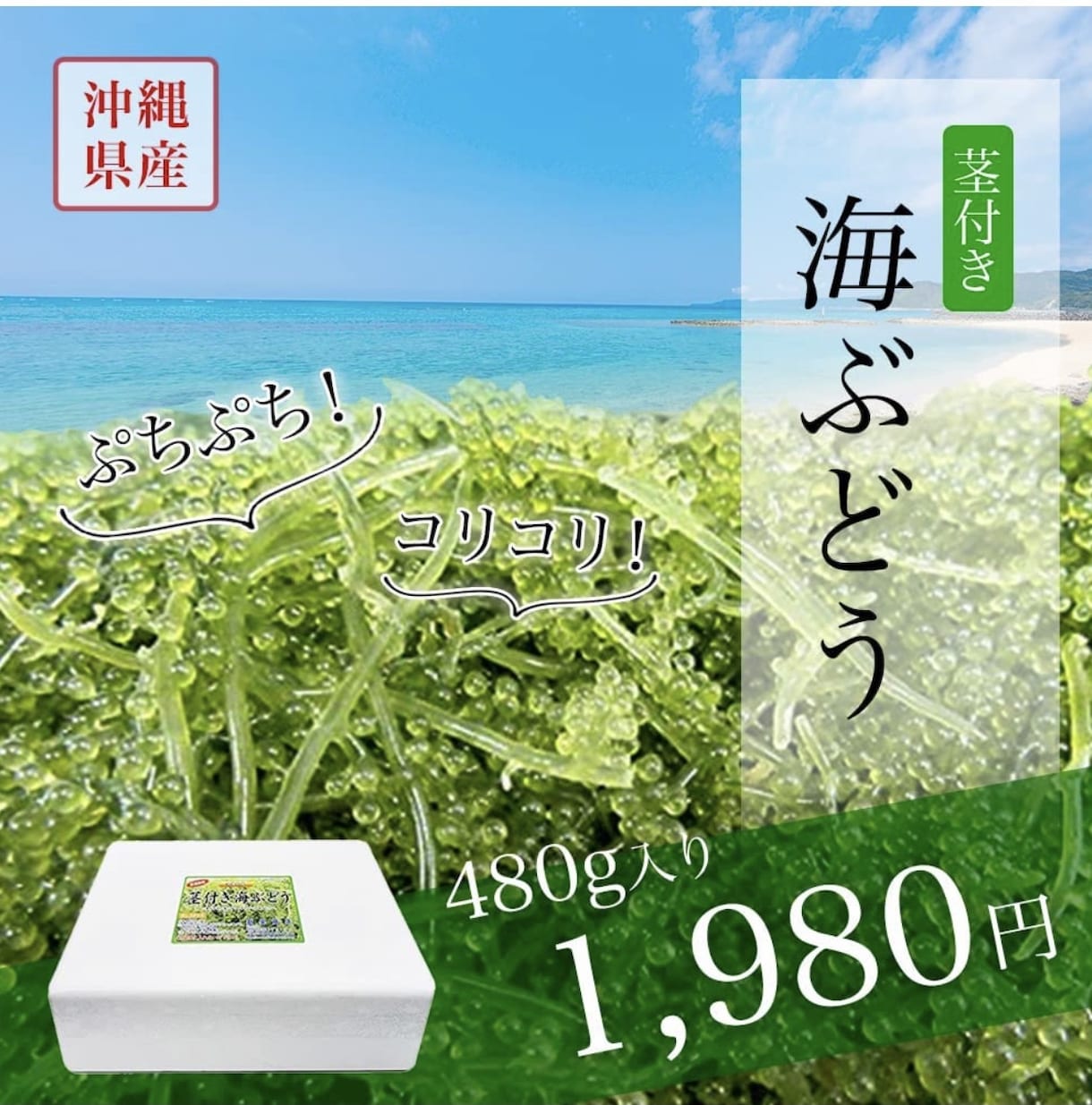 Amazon商品画像3枚｜訴求設計から制作します EC経験15年・現役店長が、訴求設計から対応します イメージ3
