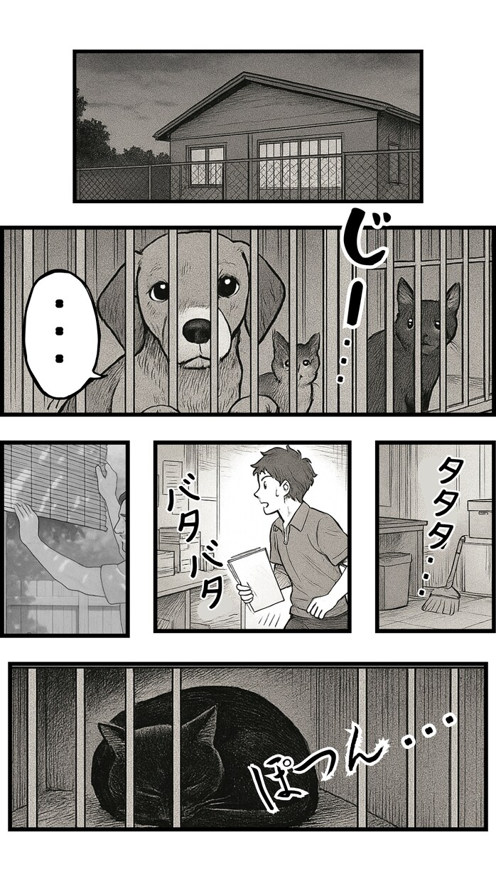 あなたの世界観を形にするキャラ＆デザイン承ります 集客と共感を生むビジュアル制作を幅広く提供します イメージ2