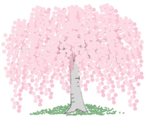 あなたの希望の未来成就方を透視します え。本当なの。不思議な透視おまじないでパワーアップします。 イメージ7