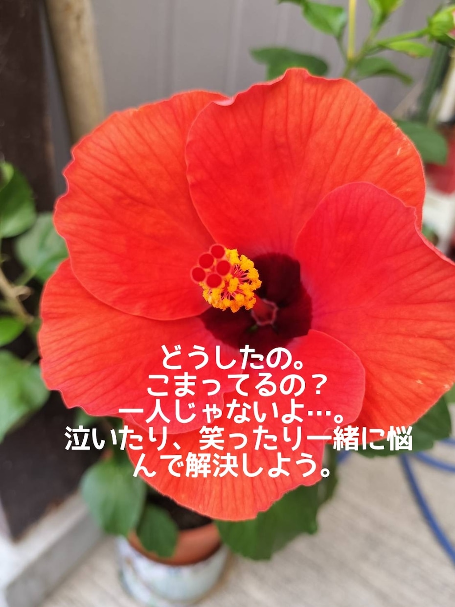 ２４時間、なんでもお悩みや愚痴聞きます 元No.１キャバ嬢に悩みを打ち明けて一緒に癒されましょぅ♡ イメージ1
