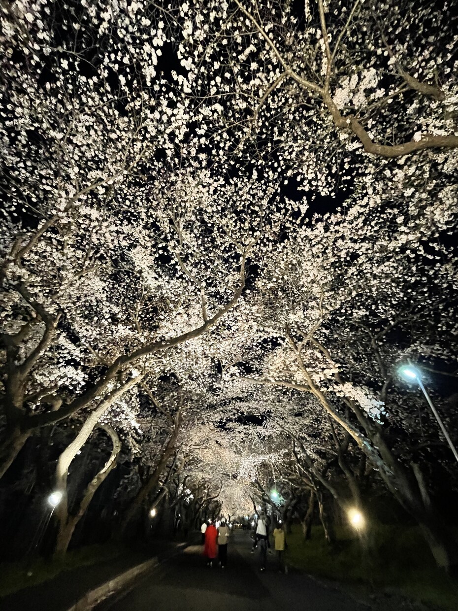 元夜職パパが本気の恋愛相談をします 1人で抱え込まず気軽に相談を！！ イメージ1