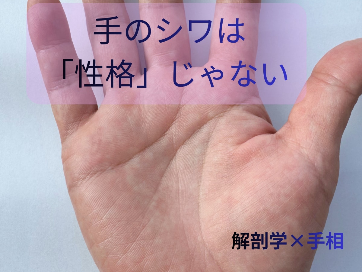 写真1枚から気になる手相を1つ鑑定します 解剖学の視点で「なぜその線があるのか」までお伝えします イメージ1