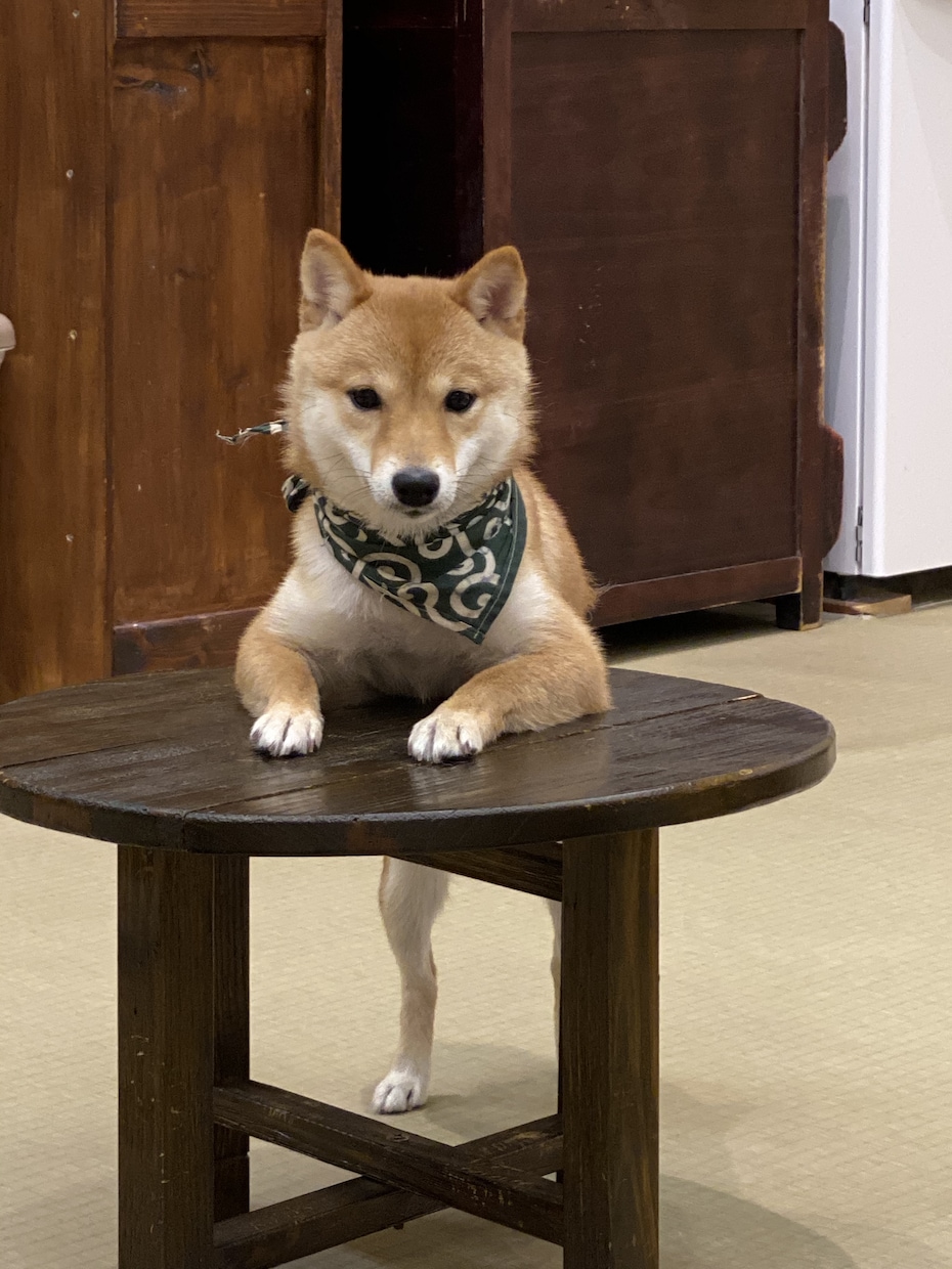 どんな悩み相談でも受け付けます 私と話せば心のモヤモヤも消えるはず!! イメージ1