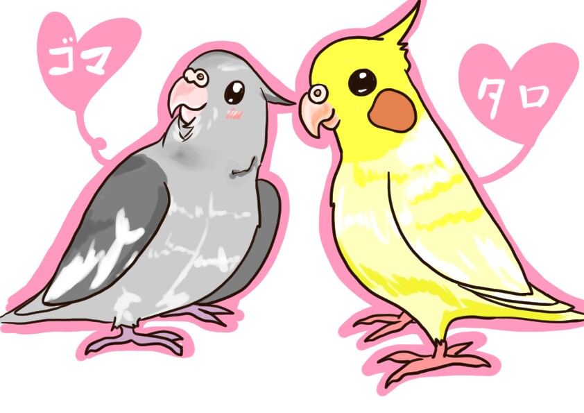 インコ大好きさん集まれ！特価でインコの絵描きます オカメインコ、セキセイインコ、文鳥…鳥なら何でも！ イメージ10