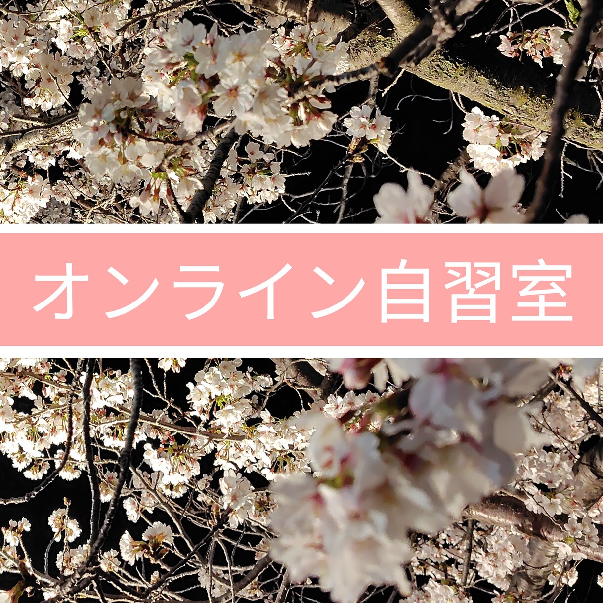 オンライン自習室！一緒に自習します ☆ご自宅でも集中できるように、サポートします☆ イメージ1