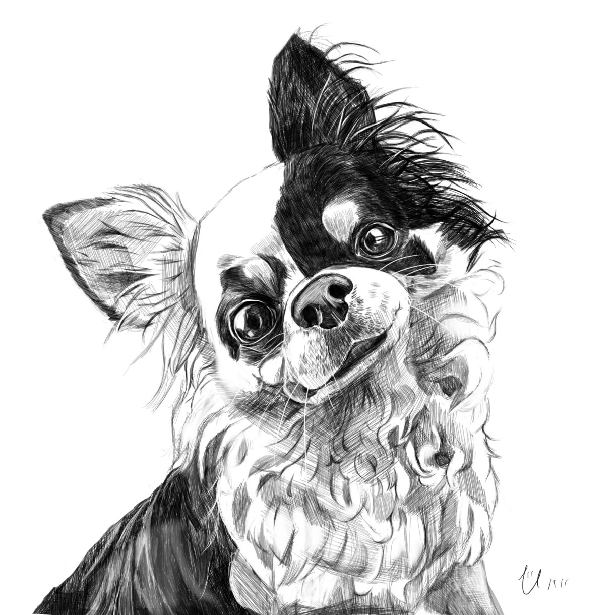 愛犬をペン画風に！デジタルイラスト制作いたします リアルタッチ！ペンで描いたみたいなスケッチイラスト！ イメージ2