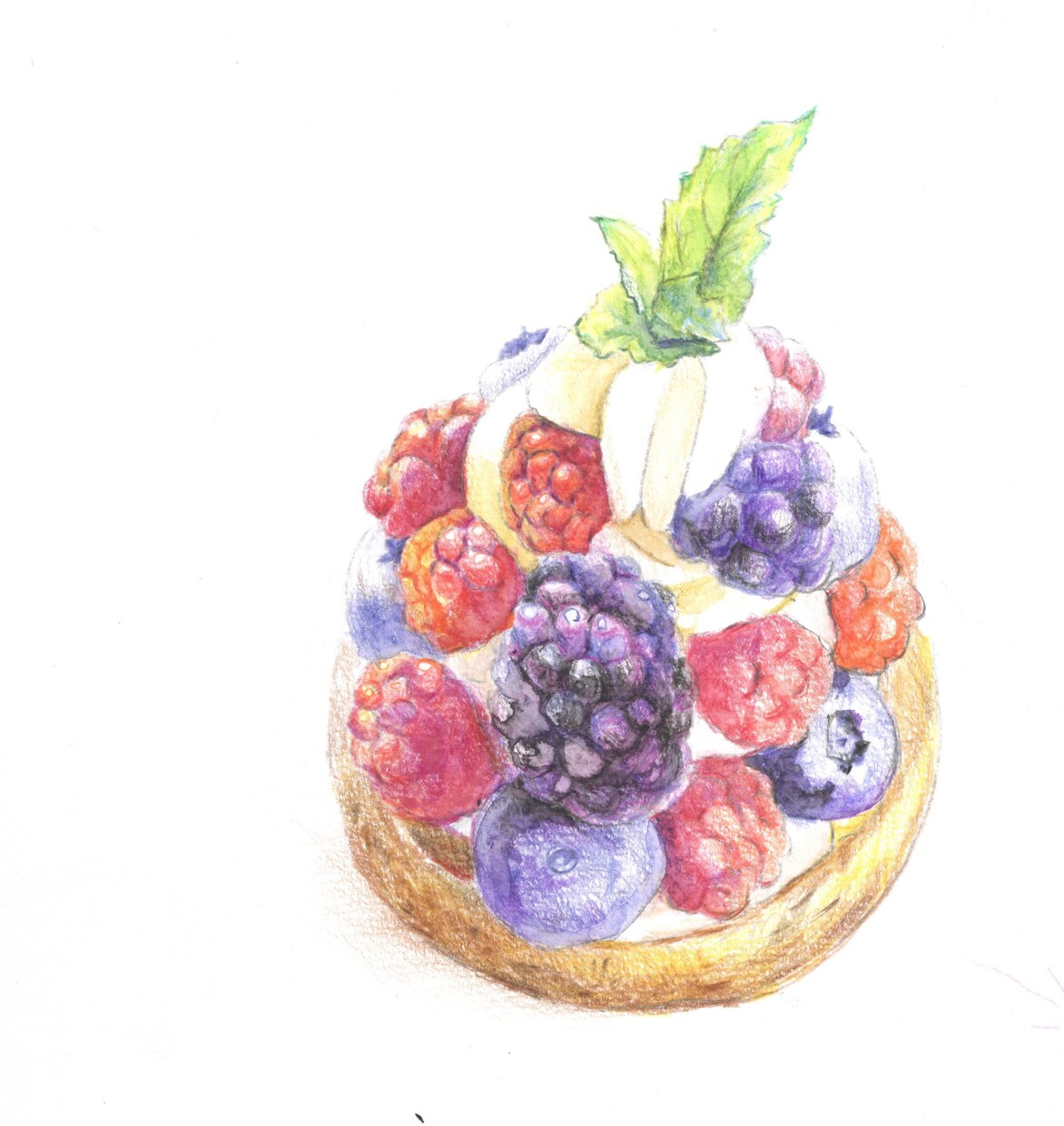 手描で温かみのあるイラストを描きます 食べ物、草木、動物など水彩画、クレヨン画で描きます イメージ4