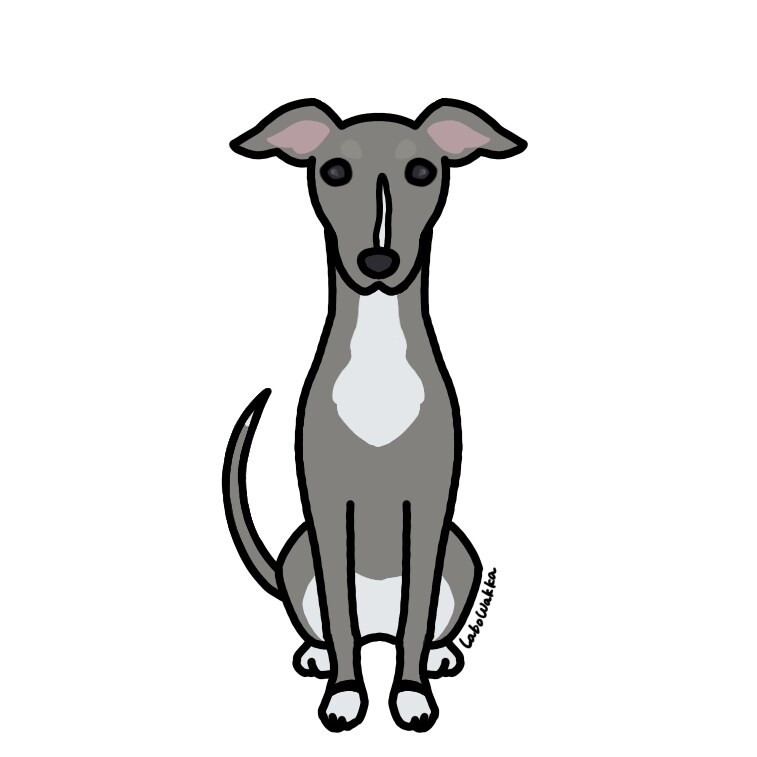 うちの子イラスト スタイルさまざまで描きます おうちの子（動物）のイラストを、可愛く描かせていただきます。 イメージ2