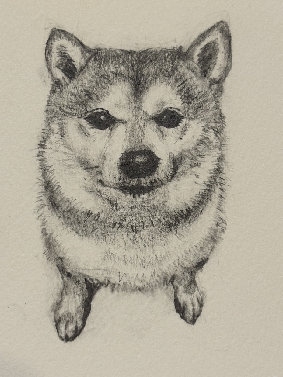 ペットの似顔絵描きます 愛ペットの似顔絵いかがですか？原画お送ります！ イメージ1