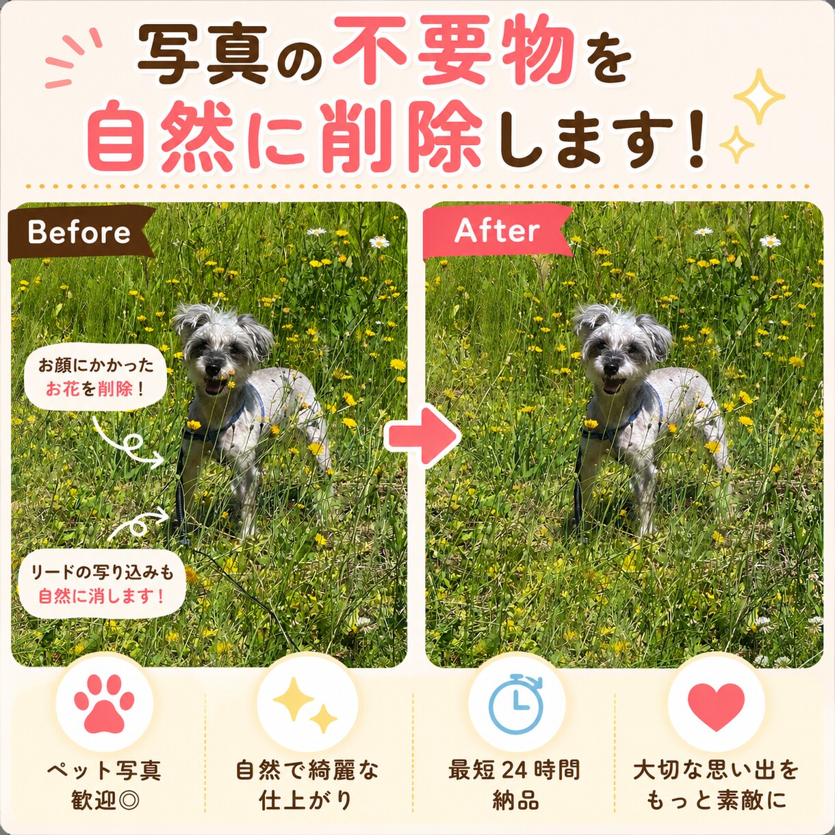 大切な写真の不要物を削除します 最短24時間！ペット写真も大歓迎◎ＳＮＳ用にも！ イメージ1