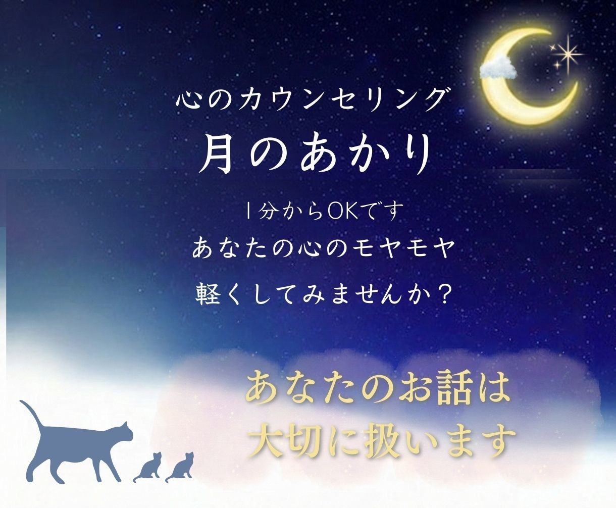 1分からでもOK、モヤモヤを優しくお聞きします ちょっと寂しい夜も、雑談から本音まで イメージ10