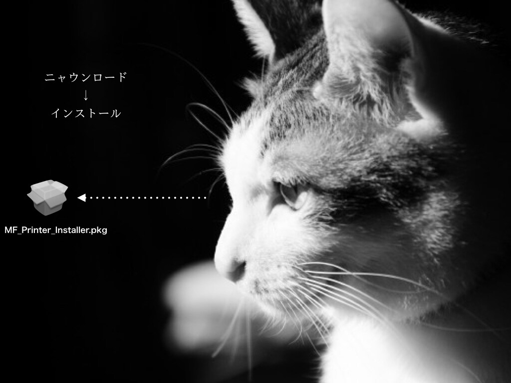 見て楽しくて、伝わるプレゼン資料を作ります 学生団体や大学のプレゼンで差をつけたい方向け イメージ3