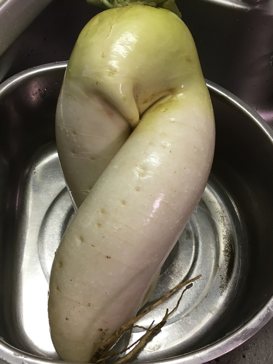 離乳食から普段の食事メニューを貴方に代わり考えます ママあるあるを交えアドバイスなどを楽しく提供していきます。 イメージ1