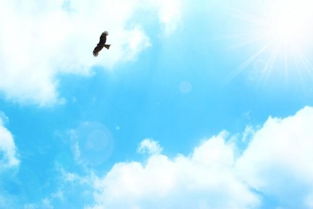 教育相談　自由になるお手伝いします 締め付けだらけの家庭、仕事、世の中にうんざり！そんな時は イメージ7