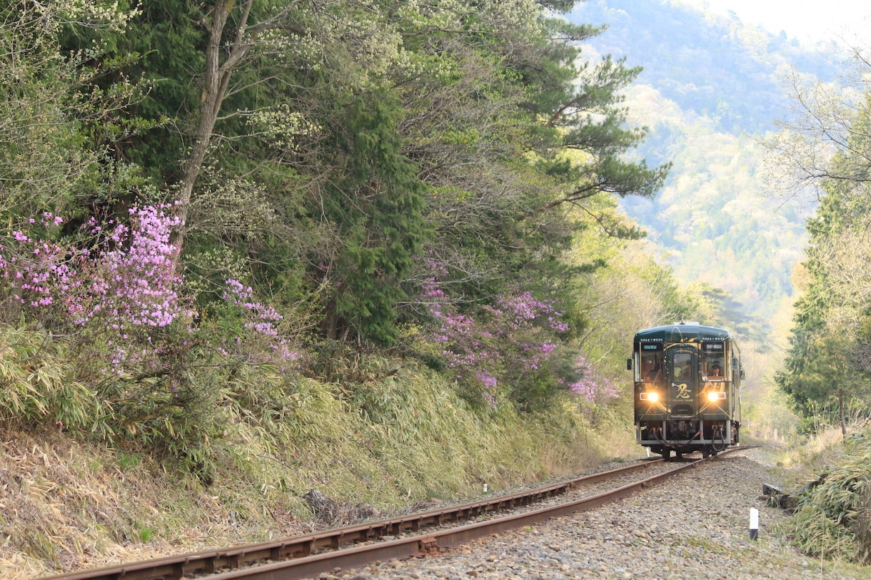 鉄道写真撮影相談に乗ります 鉄道写真の撮り方,撮影地等の相談に乗ります イメージ5