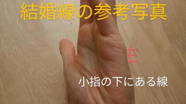 会員制ホステス♫通話・手相鑑定いたします 話してスッキリ未来に向けて꙳♩*♫.°♪✧ イメージ4