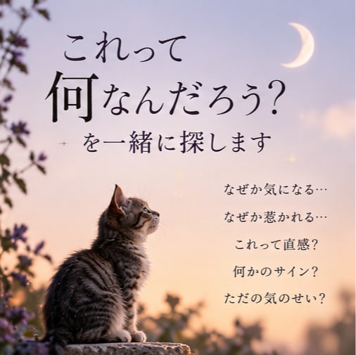 引き寄せがうまくいかない理由を、一緒に探します 引き寄せを実践しているのに、なぜか現実が変わらないあなたへ イメージ3