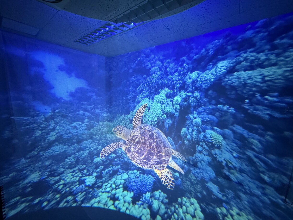 VRゴーグル不要の全員参加型VRを提案します 360°動画再生に最適なVRプロジェクターを使用したイベント イメージ4
