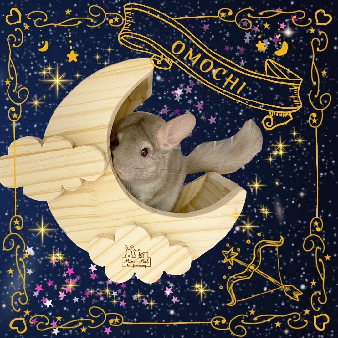 ペットの写真でオリジナルSNSアイコンを作ります <季節やテーマに沿ってペットの写真を使いイラストを作成> イメージ7
